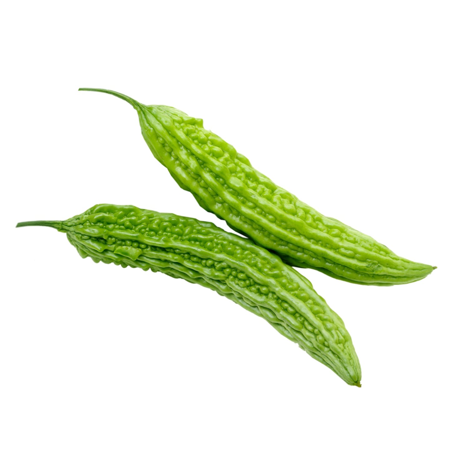 BITTERMELON CHINESE 25-30 LB