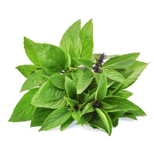 BASIL LEAVES HAWAII (THAI) 12 LB
