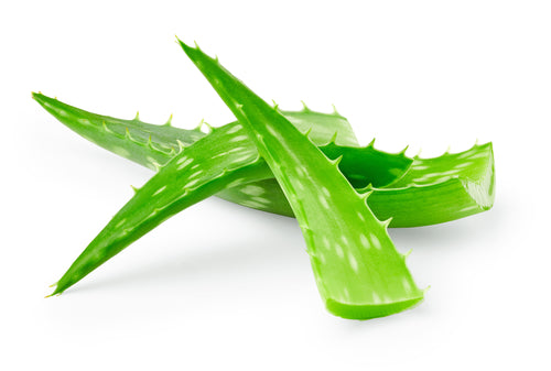 ALOE VERA 25 LB