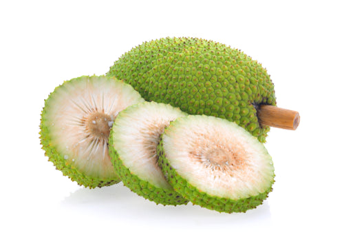 BREADFRUIT 20 LB