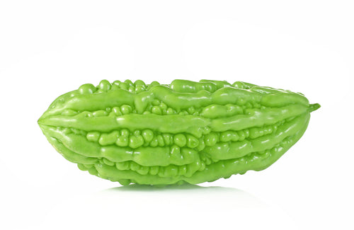 BITTERMELON CHINESE 25-30 LB