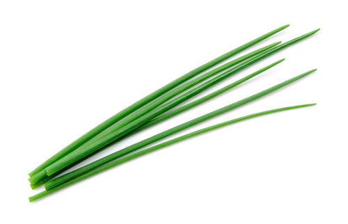 CHIVES FLAT (TARREH) 60 CT
