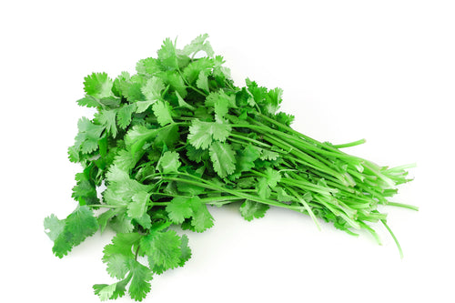 CILANTRO 60 CT
