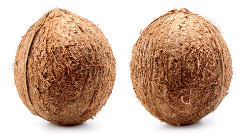 COCONUT DRY BROWN 40 CT
