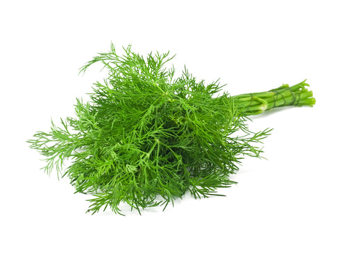 DILL LEAVES 24 CT